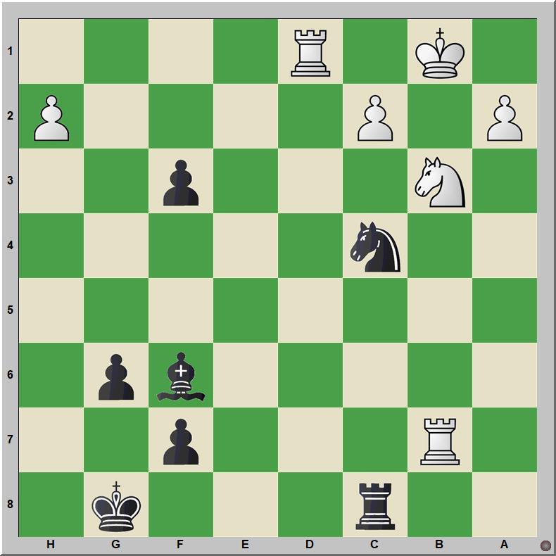 Mate 636 Fecker – Mendonca