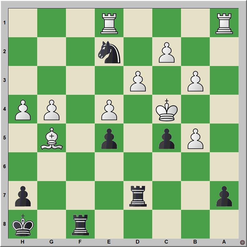 Mate 643 Fischer – Baumeister