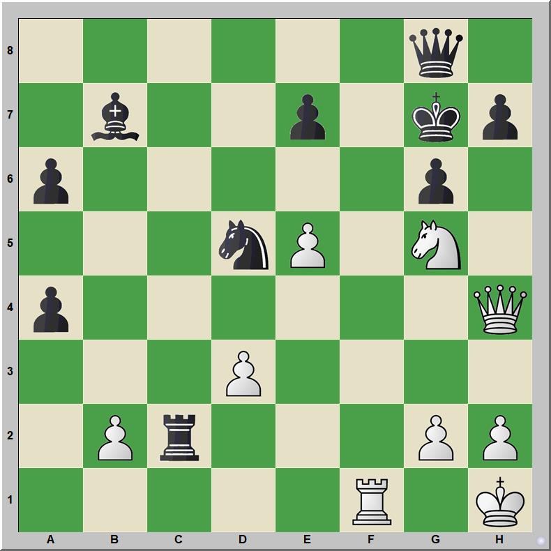Mate 644 Zochowski – Trofimiuk